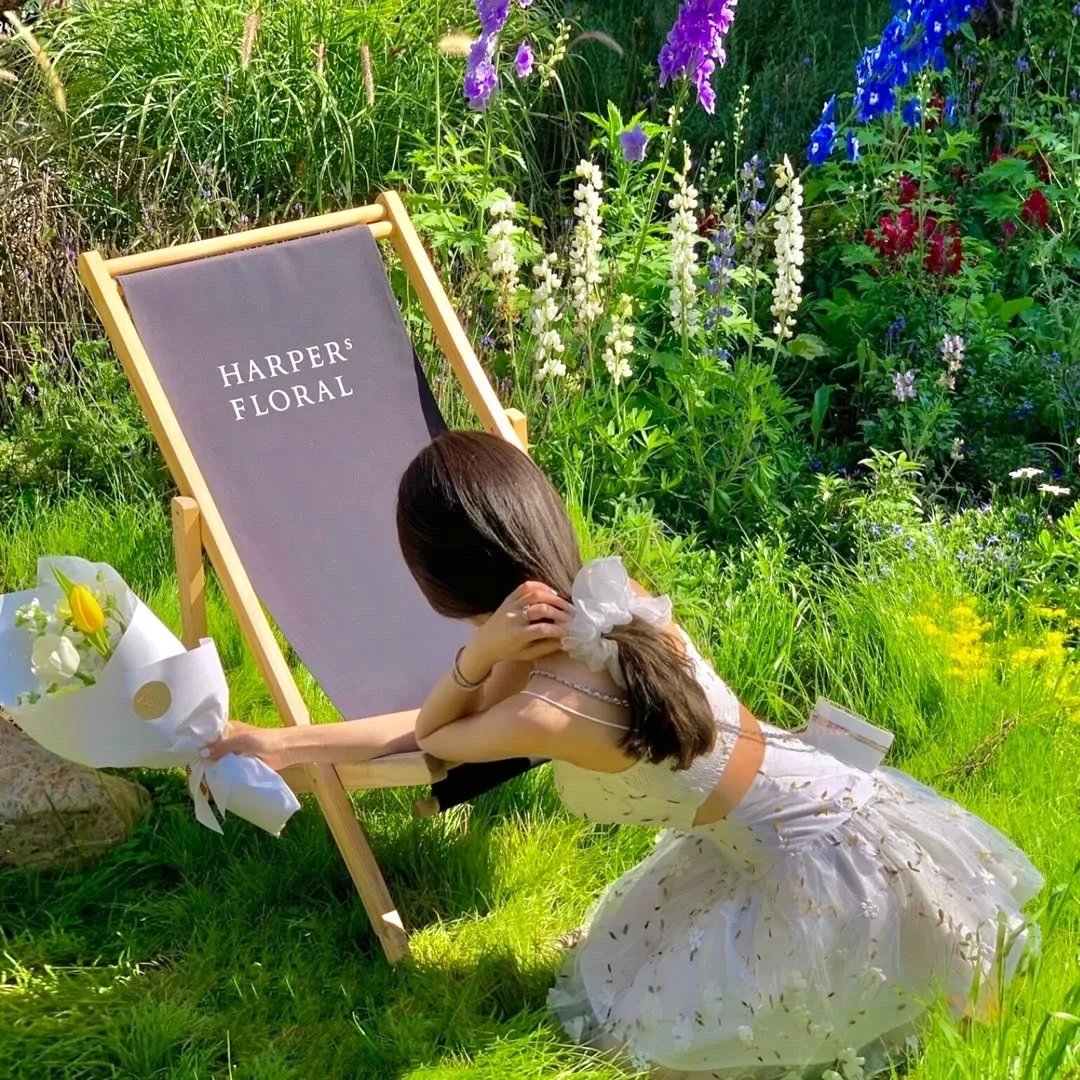 捡个球神当老公